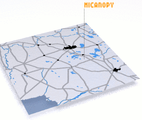 3d view of Micanopy