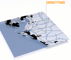 3d view of Shiney Town