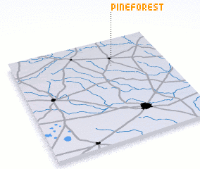 3d view of Pine Forest