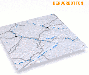 3d view of Beaver Bottom