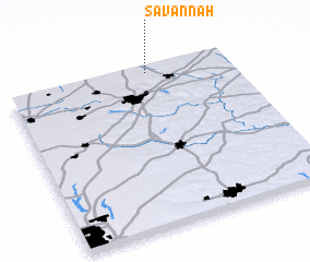 3d view of Savannah