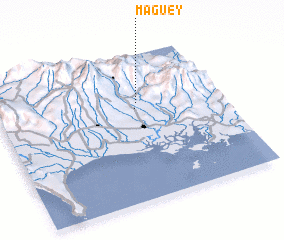 3d view of Maguey