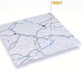 3d view of Tandy