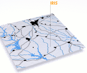 3d view of Iris