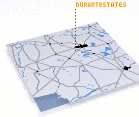 3d view of Durant Estates