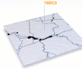 3d view of Yarico