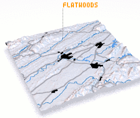 3d view of Flatwoods