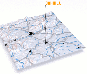 3d view of Oak Hill