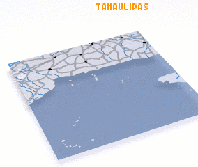 3d view of Tamaulipas