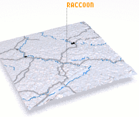 3d view of Raccoon