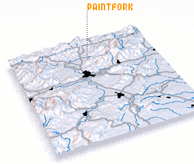 3d view of Paint Fork