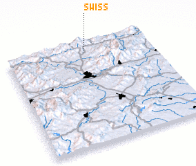 3d view of Swiss