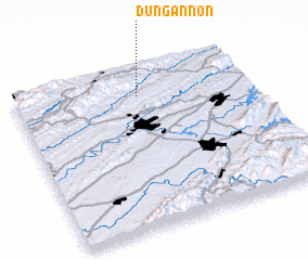 3d view of Dungannon