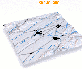3d view of Snowflake