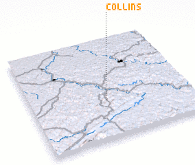 3d view of Collins