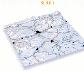 3d view of Shiloh