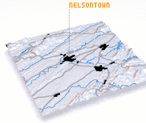 3d view of Nelsontown