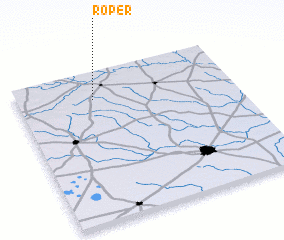 3d view of Roper