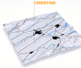 3d view of Conkintown