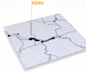 3d view of Pedro