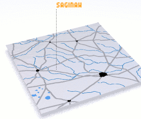 3d view of Saginaw