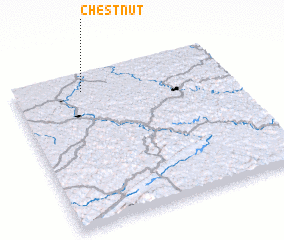 3d view of Chestnut