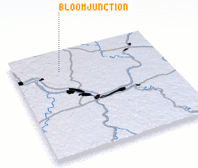3d view of Bloom Junction