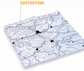 3d view of Guntertown