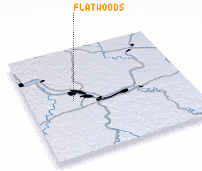 3d view of Flatwoods