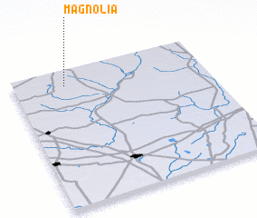 3d view of Magnolia