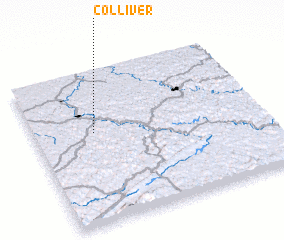 3d view of Colliver