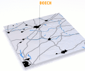 3d view of Beech