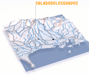 3d view of Salado de Los Guavos