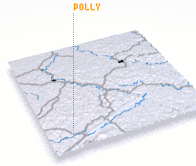 3d view of Polly