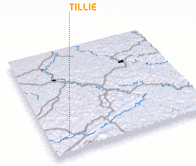 3d view of Tillie