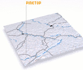 3d view of Pine Top