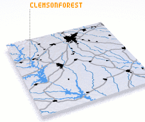 3d view of Clemson Forest