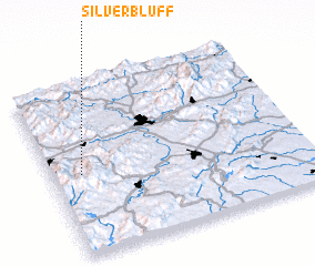 3d view of Silver Bluff