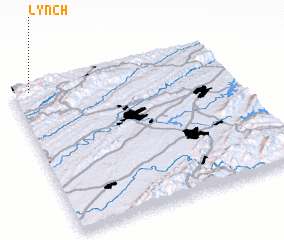 3d view of Lynch