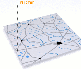 3d view of Leliaton