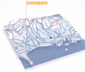 3d view of Guanábano