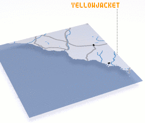 3d view of Yellow Jacket