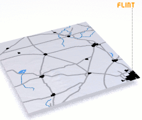 3d view of Flint