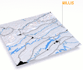 3d view of Willis