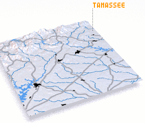 3d view of Tamassee