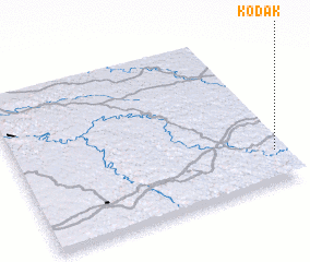 3d view of Kodak