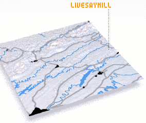 3d view of Livesay Mill