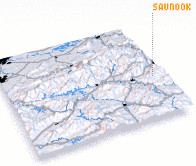 3d view of Saunook