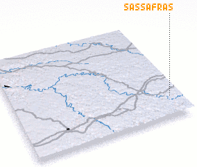 3d view of Sassafras