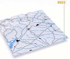 3d view of Ross